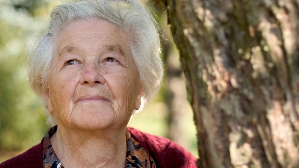 mandat protection future et tutelle