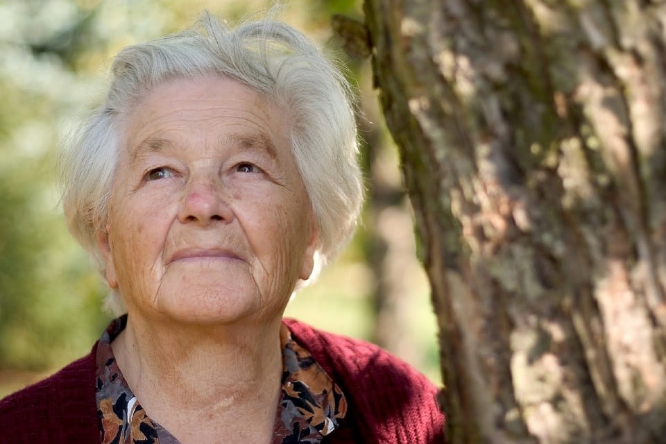 Le mandat de protection future et la tutelle