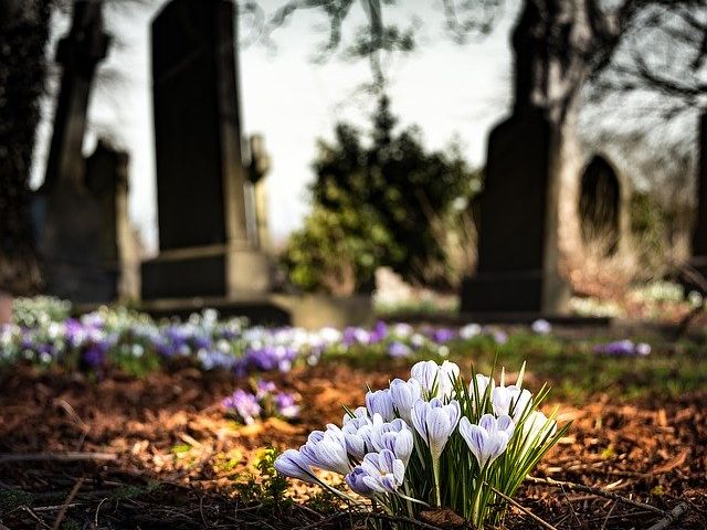 cimetiere vol sur cadavre