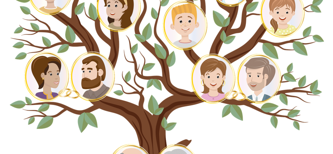 contrat-de-revelation-du-genealogiste-et-invalidation-par-la-cour-dappel