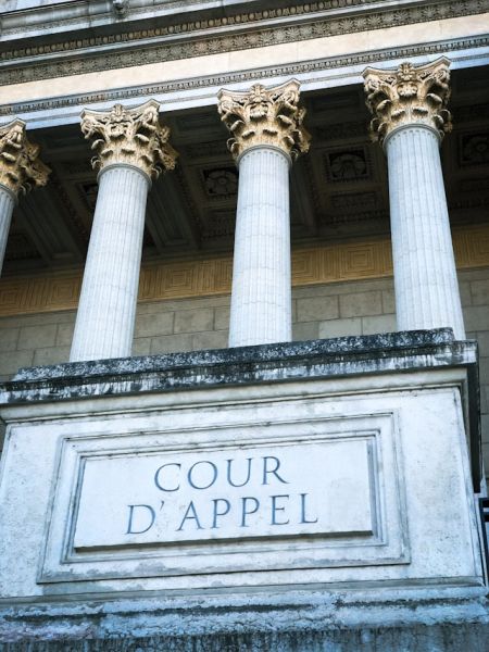 Satire confraternelle de l’avocat